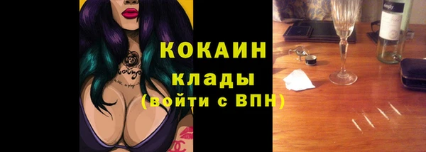 ПСИЛОЦИБИНОВЫЕ ГРИБЫ Вязники