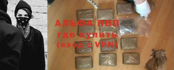 стаф Володарск