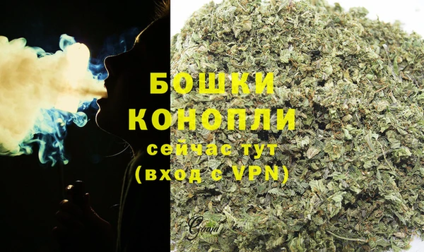 стаф Володарск