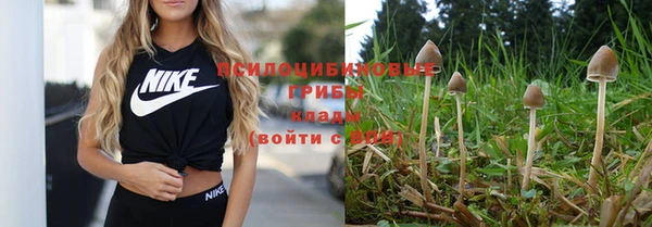 прущая мука Волосово