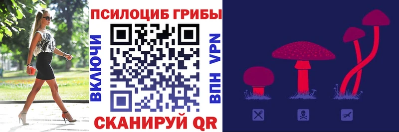 Галлюциногенные грибы мицелий  Купить закладки  Лениногорск 